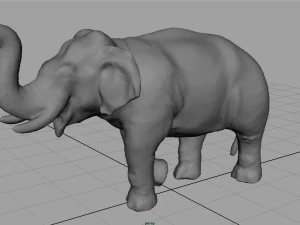 elefante asiatico 2 Modello 3D