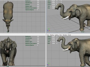 asian elephant 2 3D Model