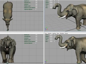 elefante asiatico 2 Modello 3D