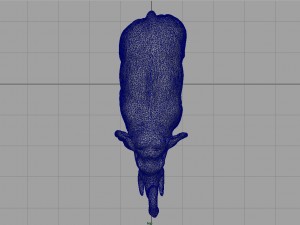 asian elephant 2 3D Model