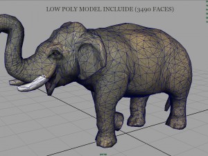 asian elephant 2 3D Model