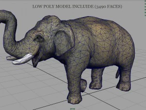 elefante asiatico 2 Modello 3D