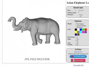 elefante asiatico 2 Modello 3D