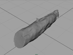 spanish fuet salami 3D Model