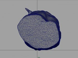 spanish fuet salami 3D Model
