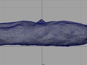 spanish fuet salami 3D Model