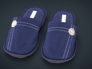 house slippers 3Dモデル