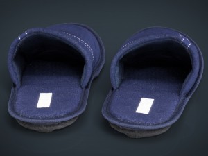 house slippers 3Dモデル