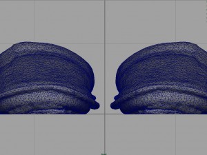 house slippers 3Dモデル