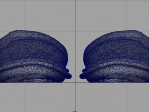 house slippers 3D Model