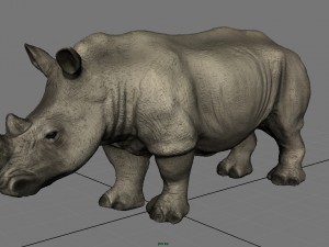 white rhinoceros 3D मॉडल