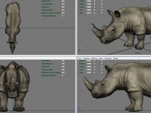 white rhinoceros 3D Model