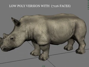 white rhinoceros 3D Model