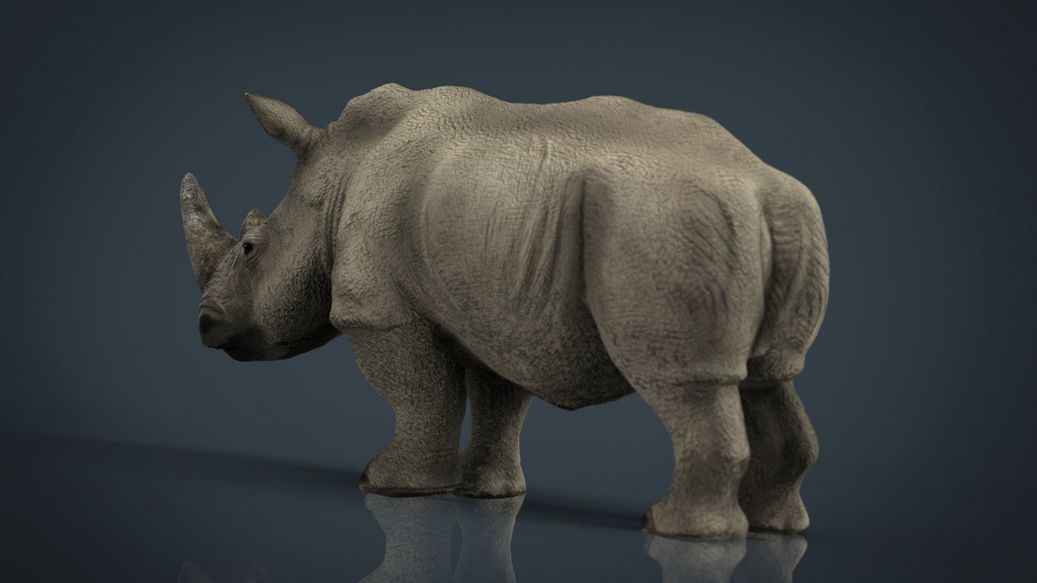 White Rhinoceros 3D Model in Wildlife 3DExport