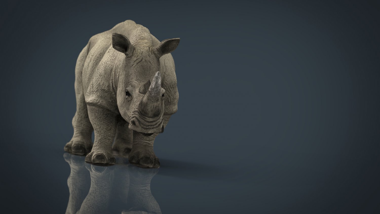 rhinoceros 6 best price