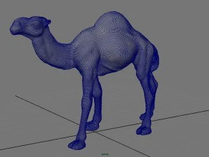 cammello Modello 3D