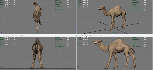 camel 3D Model in Other 3DExport