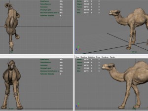 camel Modèle 3D