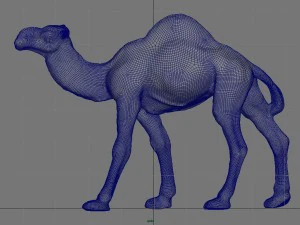 cammello Modello 3D