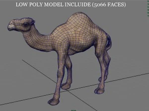 cammello Modello 3D