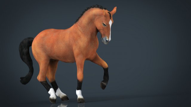 dressage horse 3D Model .c4d .max .obj .3ds .fbx .stl .blend 