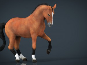 dressage horse 3D Model
