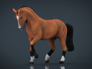 dressage horse 3D Model