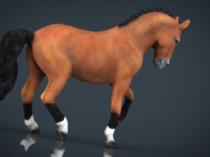 dressage horse 3D Model