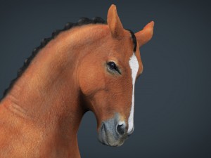 dressage horse 3D Model