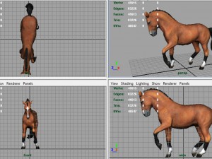 dressage horse 3D Model
