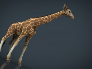 giraffe Modelo 3D