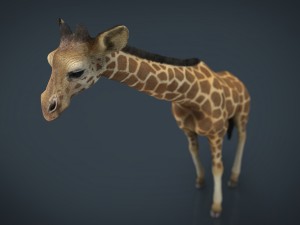 giraffe Modelo 3D