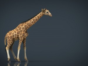 giraffe Modelo 3D