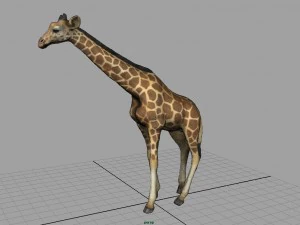 giraffe 3D Model