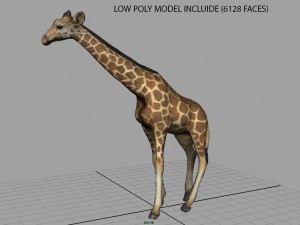giraffe Modelo 3D
