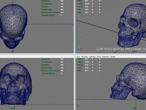 skull and jaw 3D 모델