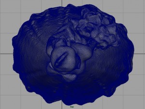 bride 3D Модель