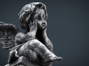 angel 7 3D Model