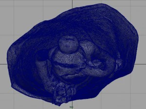 bride 2 3D Model