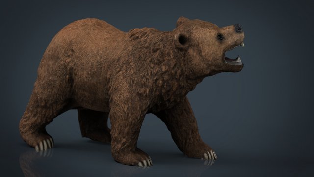bear 3D Модель .c4d .max .obj .3ds .fbx .stl .blend 