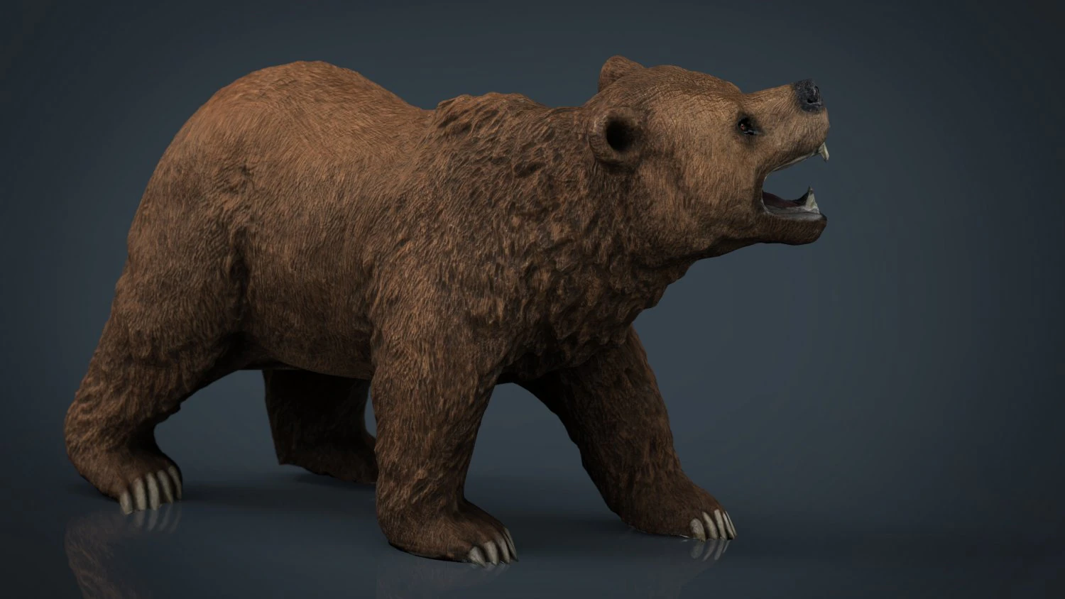 orso Modello 3D .c4d .max .obj .3ds .fbx .stl .blend 