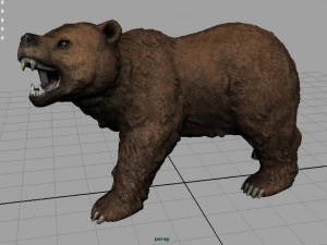 orso Modello 3D