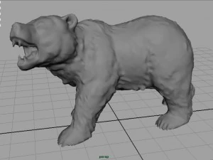 orso Modello 3D