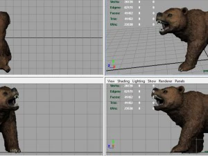 orso Modello 3D