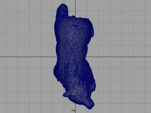 orso Modello 3D