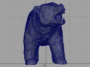 orso Modello 3D