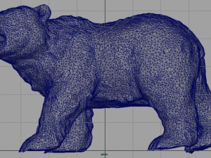 bear 3D Модель