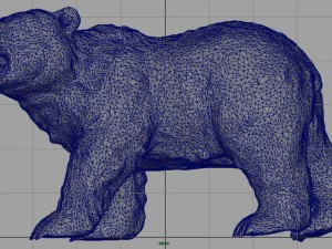 orso Modello 3D