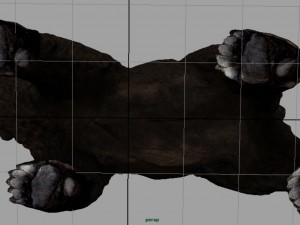 bear 3D Модель