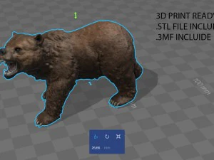 orso Modello 3D
